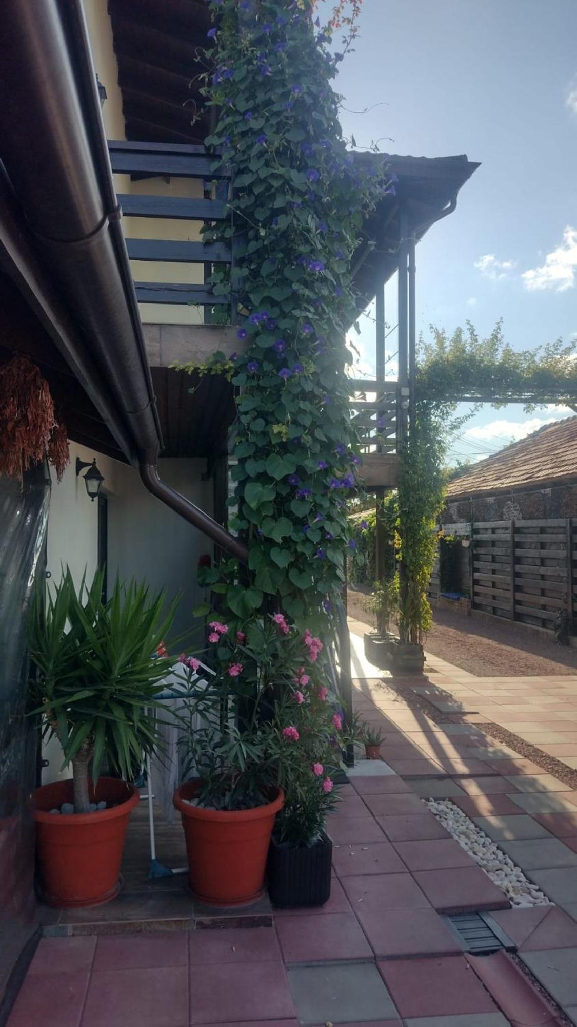 Casa Mura Două Mai Exterior foto